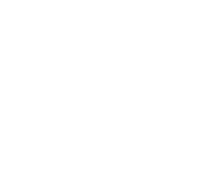 Visitur